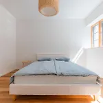 Komandandi Center Apartment